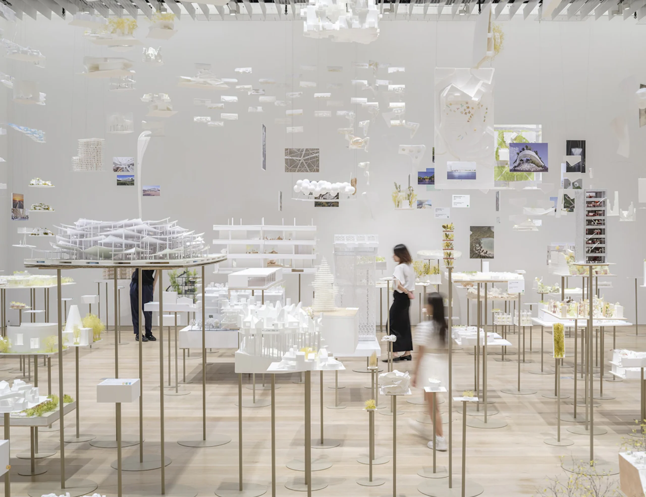 Forest of Thoughts, 2025